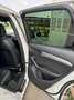 Audi Q5 Q5 V6 tdi Advanced quattro 250cv s-tronic Bianco - thumbnail 14
