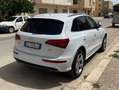 Audi Q5 Q5 V6 tdi Advanced quattro 250cv s-tronic Bianco - thumbnail 3