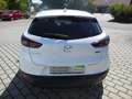 Mazda CX-3 SKYACTIV-G 121PS Sports-Line ...Sitzheizung, LED-S Weiß - thumbnail 6