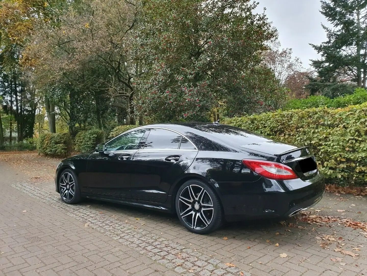 Mercedes-Benz CLS 350 350 d 4MATIC Aut - 2