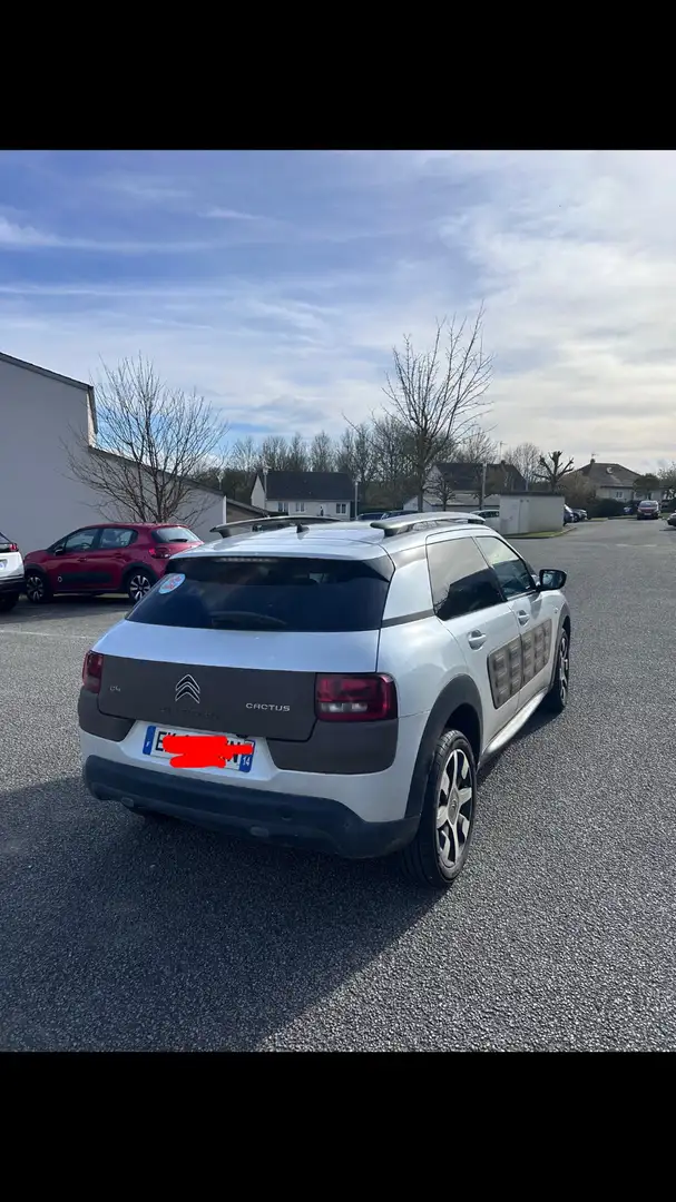 Citroen C4 Cactus BlueHDi 100 S&S Feel Edition - 2