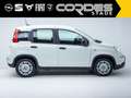 Fiat Panda Pandina City Paket 1.0 Mild Hybrid Klima DAB PDC ( Weiß - thumbnail 5