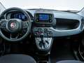 Fiat Panda Pandina City Paket 1.0 Mild Hybrid Klima DAB PDC ( Weiß - thumbnail 15