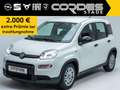Fiat Panda Pandina City Paket 1.0 Mild Hybrid Klima DAB PDC ( Weiß - thumbnail 2