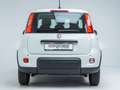 Fiat Panda Pandina City Paket 1.0 Mild Hybrid Klima DAB PDC ( Weiß - thumbnail 16