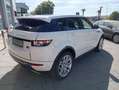 Land Rover Range Rover Evoque 2.0TD4 HSE 4WD Aut. 180 Wit - thumbnail 7