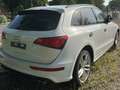 Audi SQ5 SQ5 3.0TDI Plus quattro/PANO/B&O/AHK/KEYLESS/STHZG Weiß - thumbnail 4