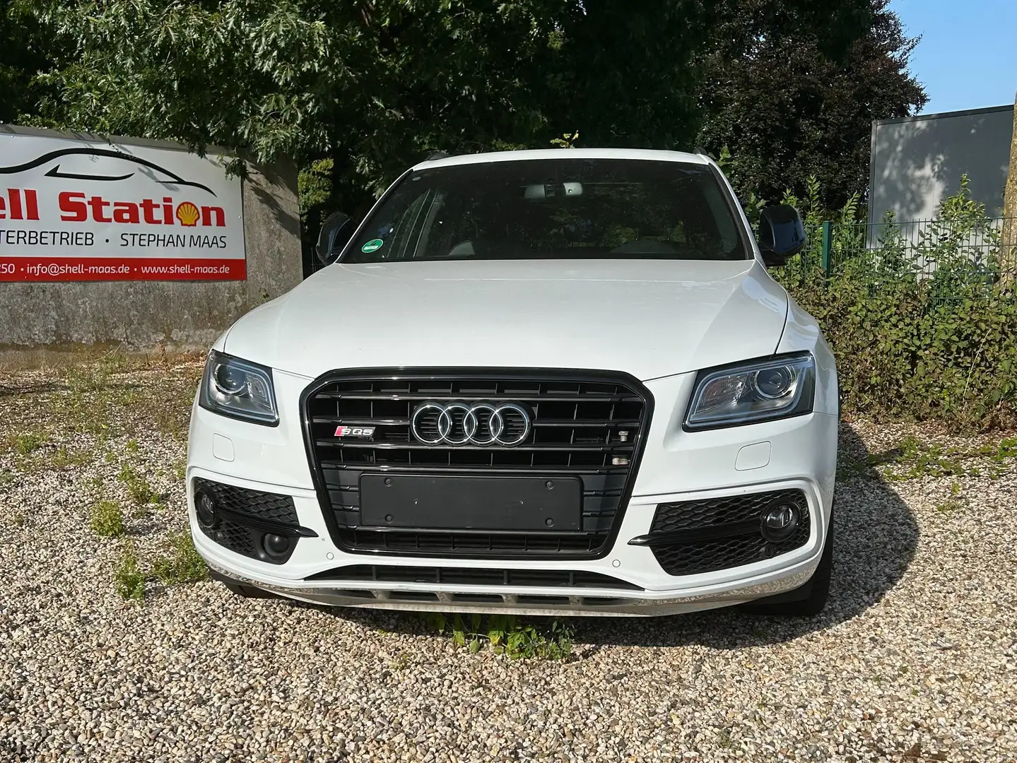 Audi SQ5 SQ5 3.0TDI Plus quattro/PANO/B&O/AHK/KEYLESS/STHZG Weiß - 2