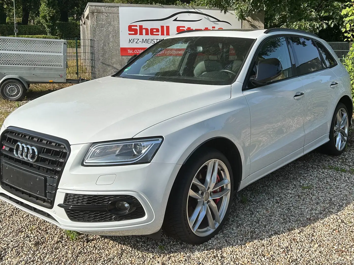 Audi SQ5 SQ5 3.0TDI Plus quattro/PANO/B&O/AHK/KEYLESS/STHZG Weiß - 1