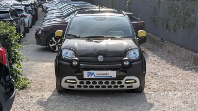 Fiat Pandina view 7