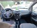 Fiat Punto 1.2 8v Young 67 CV Gasolina Blanco - thumbnail 10