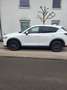 Mazda CX-5 CX-5 CD150 Challenge Challenge Weiß - thumbnail 5