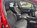 Renault Arkana techno mild hybrid 140 auto Rouge - thumbnail 14