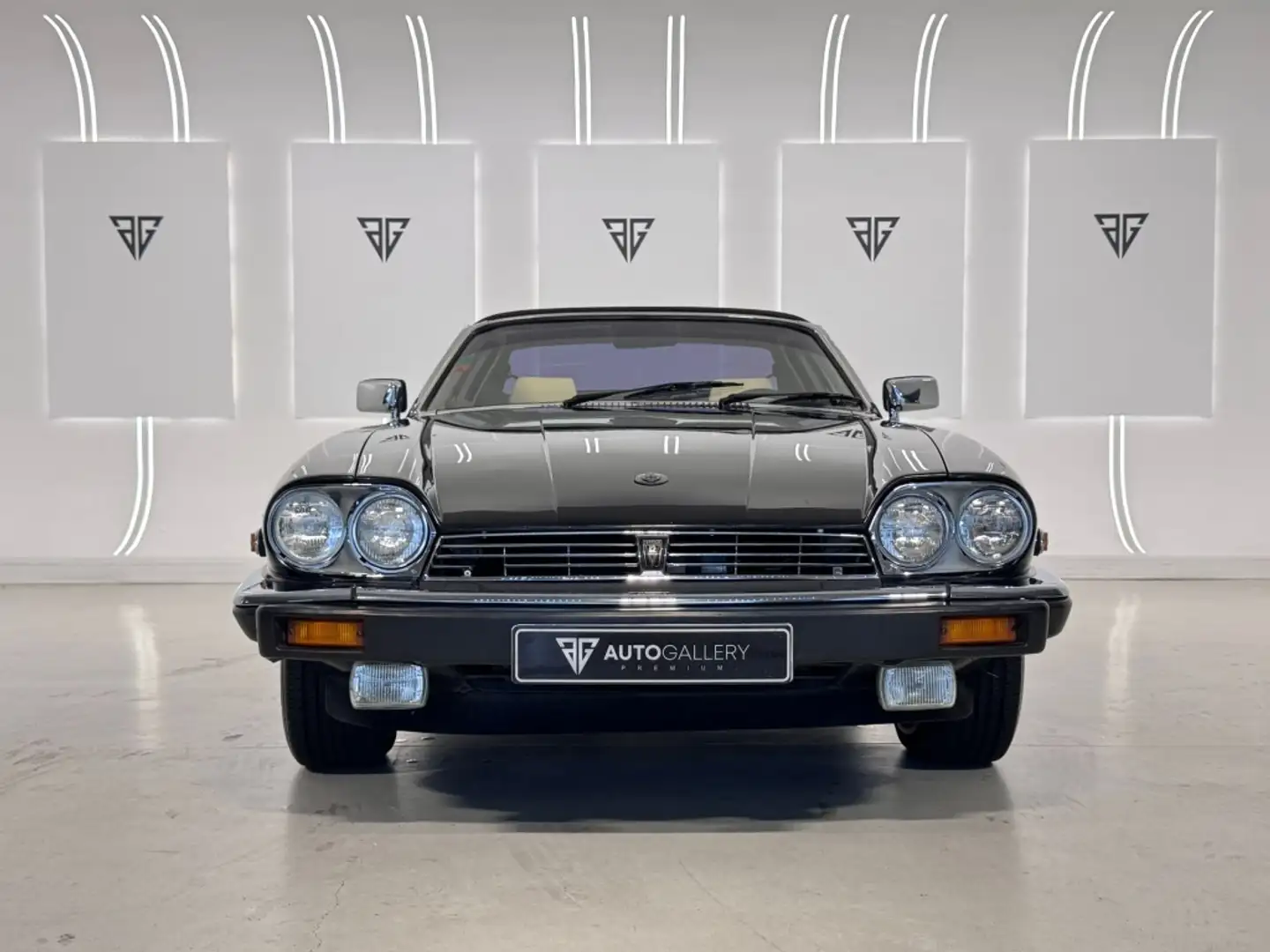 Jaguar XJS XJS-C V12 Schwarz - 2