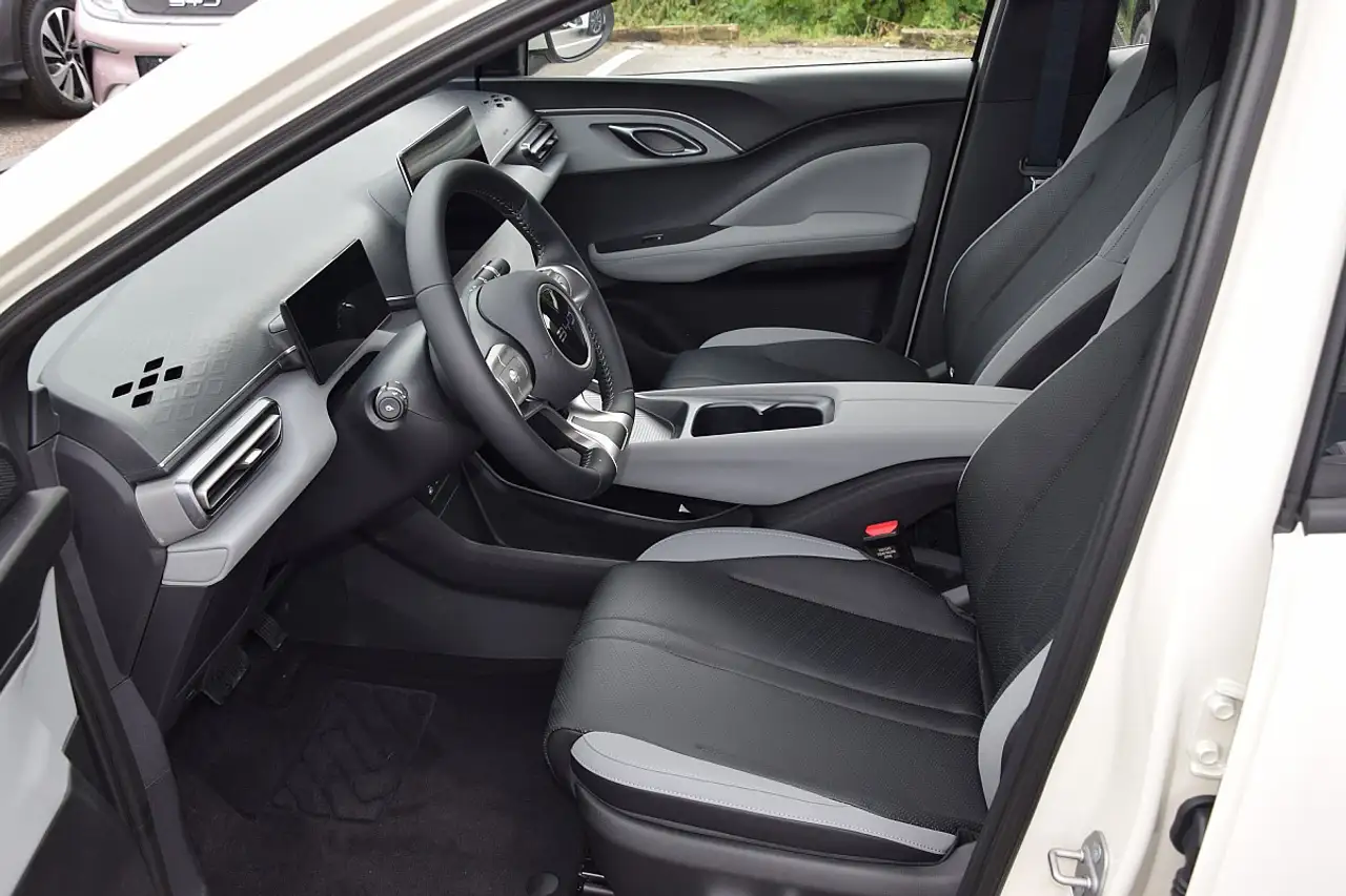 BYD DOLPHIN SURF