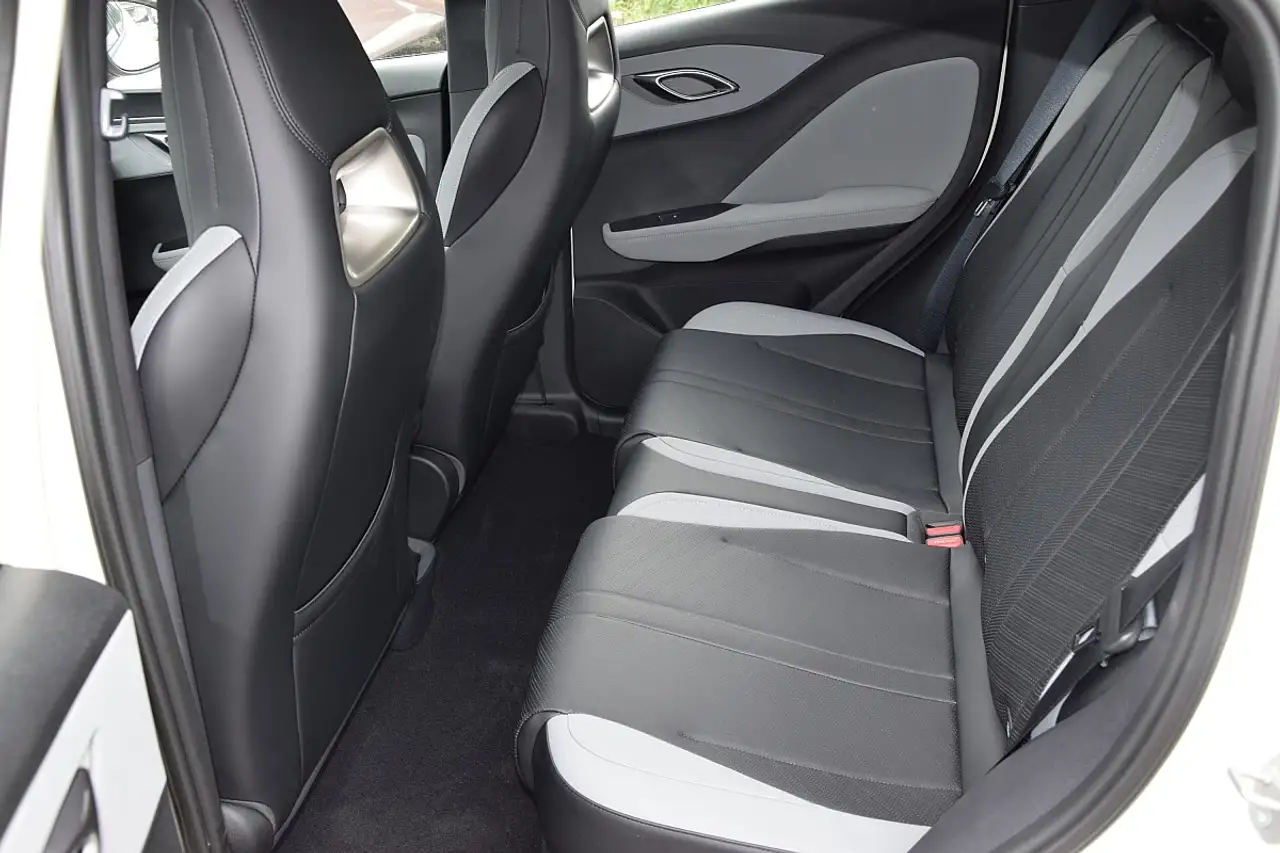 BYD DOLPHIN SURF