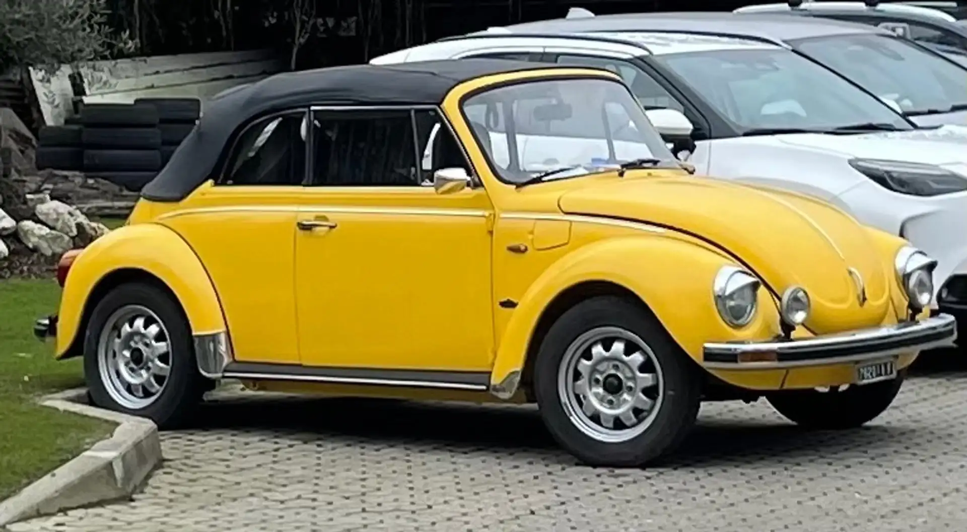 Volkswagen Käfer Galben - 1