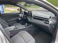 Toyota C-HR 1.8 Hybrid Active Gris - thumbnail 7