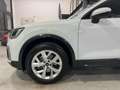 Audi Q2 35 TDI S tronic Business Advanced Weiß - thumbnail 22