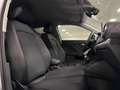Audi Q2 35 TDI S tronic Business Advanced Weiß - thumbnail 12