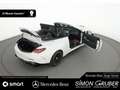 Mercedes-Benz CLE 53 AMG CLE 53 4M+ Cabriolet AMG Real Perfo HUD Burm Weiß - thumbnail 2