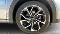 BYD Dolphin Comfort Grau - thumbnail 12