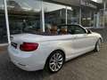 BMW 220 Luxury Line Cabrio -MAYEN Weiß - thumbnail 16