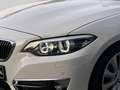 BMW 220 Luxury Line Cabrio -MAYEN Blanco - thumbnail 6