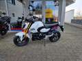 Honda MSX 125 Neufahrzeug auf Lager Blanc - thumbnail 4