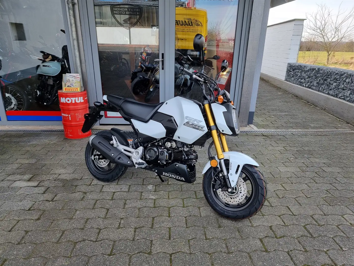 Honda MSX 125 Neufahrzeug auf Lager Blanc - 1