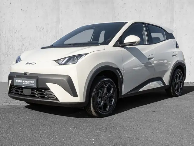 BYD Dolphin Surf Boost Navi Kamera Leder