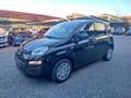 Fiat Panda 1.0 FireFly S&S Hybrid Schwarz - thumbnail 3