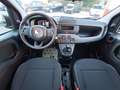 Fiat Panda 1.0 FireFly S&S Hybrid Schwarz - thumbnail 11