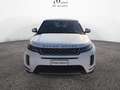 Land Rover Range Rover Evoque Range Rover Evoque 2.0d i4 mhev S awd 163cv auto Bianco - thumbnail 2