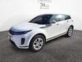 Land Rover Range Rover Evoque Range Rover Evoque 2.0d i4 mhev S awd 163cv auto Bianco - thumbnail 3