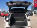 Land Rover Range Rover Evoque Range Rover Evoque 2.0d i4 mhev S awd 163cv auto Bianco - thumbnail 7