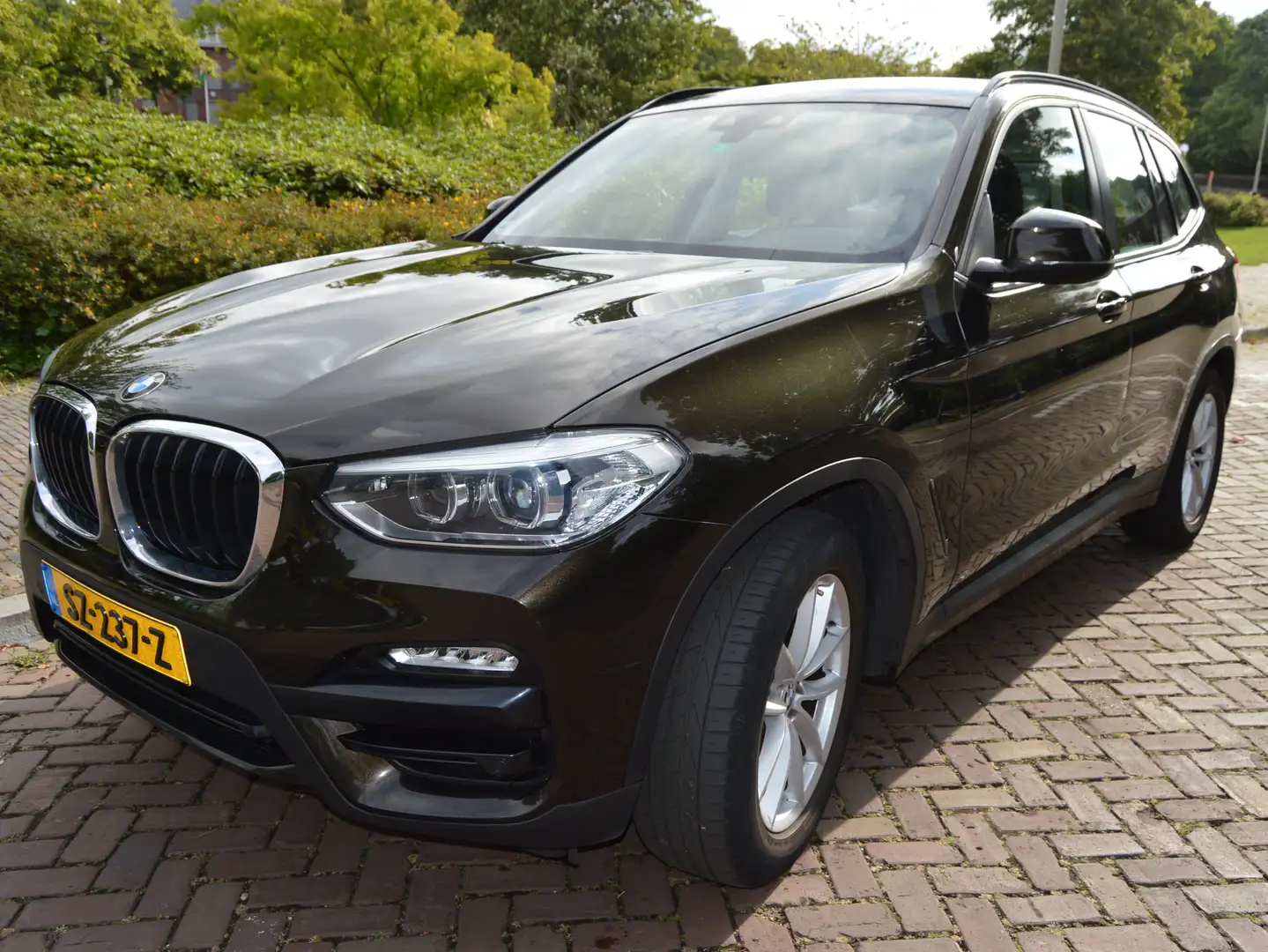BMW X3 X3 Exec. X Drive 20i Brown - 1