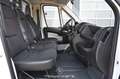Citroen Jumper 33 Business L2H1 3,3 t Kipper Weiß - thumbnail 15