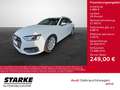 Audi A4 Avant 40 TDI S tronic quattro NaviPlus AHK APS-... Weiß - thumbnail 1