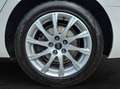 Audi A4 Avant 40 TDI S tronic quattro NaviPlus AHK APS-... Weiß - thumbnail 5