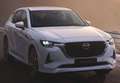 Mazda CX-60 2.5L e-Skyactiv-G PHEV Homura Plus AWD - thumbnail 13