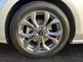 Ford Focus Turnier ST-Line 1.0 EcoBoost TEMP PDC LED Argento - thumbnail 15