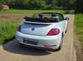 Volkswagen Beetle The Beetle The Cabriolet 1.4 TSI DSG (BlueMotion T Weiß - thumbnail 16