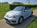 Volkswagen Beetle The Beetle The Cabriolet 1.4 TSI DSG (BlueMotion T Weiß - thumbnail 4