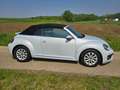 Volkswagen Beetle The Beetle The Cabriolet 1.4 TSI DSG (BlueMotion T Weiß - thumbnail 3