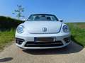 Volkswagen Beetle The Beetle The Cabriolet 1.4 TSI DSG (BlueMotion T Weiß - thumbnail 10