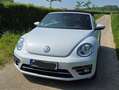 Volkswagen Beetle The Beetle The Cabriolet 1.4 TSI DSG (BlueMotion T Weiß - thumbnail 11