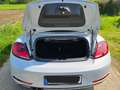 Volkswagen Beetle The Beetle The Cabriolet 1.4 TSI DSG (BlueMotion T Weiß - thumbnail 18