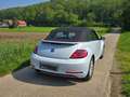 Volkswagen Beetle The Beetle The Cabriolet 1.4 TSI DSG (BlueMotion T Weiß - thumbnail 5