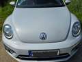 Volkswagen Beetle The Beetle The Cabriolet 1.4 TSI DSG (BlueMotion T Weiß - thumbnail 15
